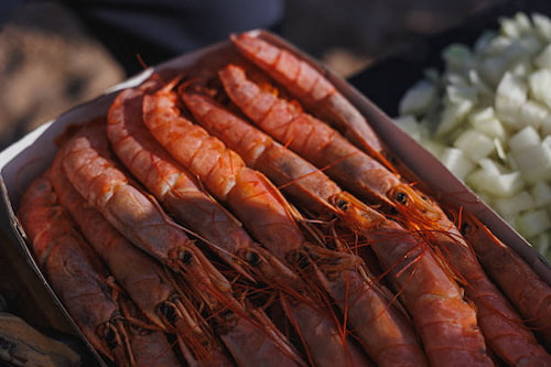 قیمت خرید میگو پرورشی سایز 90